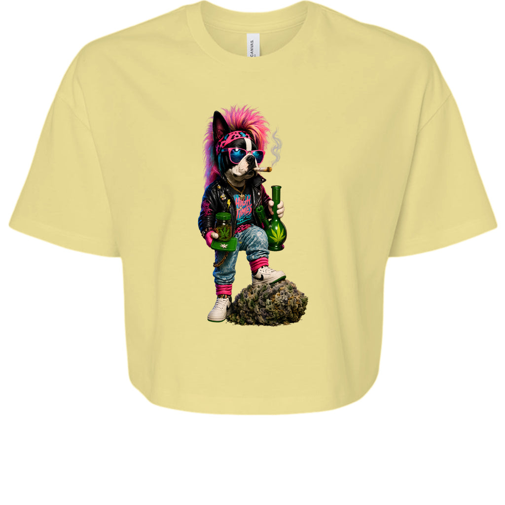Mustard - 6482 - FRONT